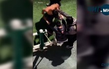Нэгнээ хэрцгийгээр зодсон хэргийг шалгаж эхэллээ 