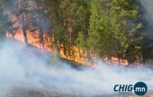 Сэлэнгийн түймрийг бугын эвэр түүж явсан иргэд тавьсан уу