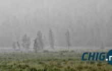 Энэ зун баруун аймгуудаар хур багатай, говь, төвийн бүсээр бороо их орно 