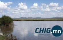 Сэрэмжлүүлэг: 42 настай эмэгтэй 