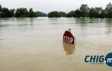 Сэрэмжлүүлэг: Томоохон голуудын усны түвшин хоногтоо 5-60 см нэмэгдэж байна 