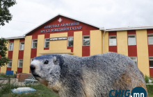 Эмнэлэгт батлагдсан 2 тохиолдлын эмчилгээ үргэлжилж байна