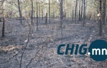 Сураггүй болсон 73 настай эрэгтэйн цогцсыг олжээ 
