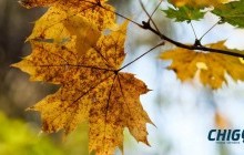 Лхагва гараг хүртэл дулаан өдрүүд үргэлжилнэ