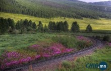 Төрхурахын аманд 3 га газрын төлбөрийг төлөлгүй цуцлуулчхаад, шүүхээр сэргээлгэжээ 