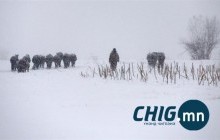 Амралтын өдрүүдээр эрс хүйтэрнэ