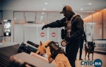 Мансууруулах бодисыг шингэн хэлбэрт хувиргаж, хилээр нэвтрүүлсэн иргэдийг баривчиллаа 