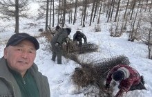 Богд уулыг хэрсэн торон хашааг буулгаж, амьтдад 10 га бэлчээр чөлөөлж өглөө 