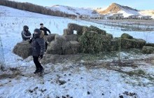 Богдхан уулын хамгаалалтын захиргааны ажилчид хашаа эвдэж, өвс буулгажээ  