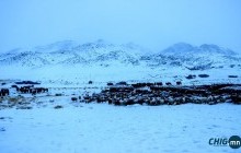 Малчид тээвэрчдийн анхааралд