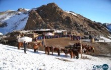 Улсын аварга малчны шагнал эцэг мал, старлинг, зөөврийн хашаа зэргээр сонголттой болжээ 