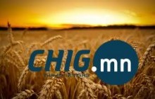 Тариаланчид намар нийлүүлсэн буудайныхаа урамшуулалд ₮8.6 тэрбумыг авчээ 