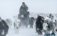 9 аймагт цас орж, цасан шуурга шуурч байна