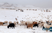 Нийт нутгийн 45 хувьд цастай байна