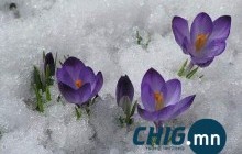 Энэ сарын 29 хүртэлх цаг агаарын төлөв 