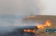 Машиныхаа яндангаас гал алдсан иргэнээс ₮7,6 саяыг гаргуулж, тэнсэн ял оноолоо 