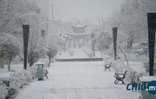 Улаанбаатарт бямба, ням гарагт цас орж, шуурна 