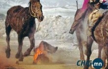 Ням гарагт таван настай мориноос унаж, хүнд гэмтжээ 