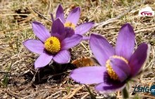 Танилц: Тавдугаар сарын цаг агаарын төлөв 