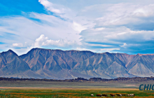 Их Богд хайрхны төрийн тахилга зургаадугаар сарын 3-нд болно