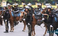 Вьетнамд алба хааж тэтгэвэрт гарсан 15 морийг эх оронд нь авч ирнэ 