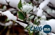Маргаашаас эхлэн ихэнх нутгаар цас, бороо орно 