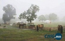 Зуны тэргүүн сарын шинийн нэгэн бороотой ирлээ