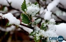 Энэ сарын 23 хүртэл бороо, нойтон цас орно 