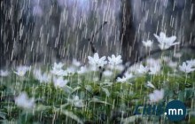 Хангайн уулархаг нутгаар аадар бороо орно 