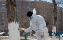 Зөвлөгөө: Модоо хүйтнээс хамгаалж шохойдох заавар 