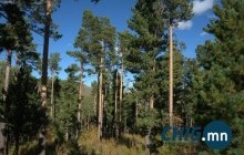 Самарт явсан хүмүүс 49 настай эрэгтэй дээр бензин асгаж, шатаажээ 