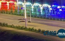 Дөрвөн адуу дайрсан согтуу жолооч хохирлыг барагдуулжээ 