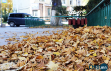 Улаанбаатарт өдөртөө 17 хэм дулаан байна