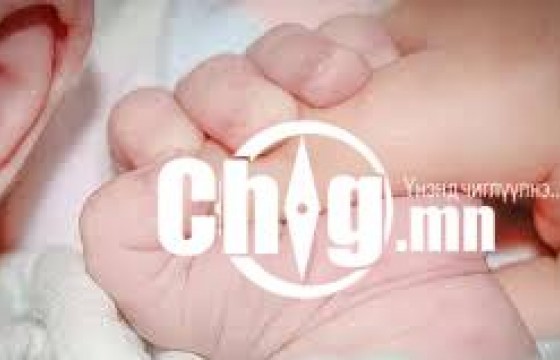 ЭНЭ ОНД 32.8 МЯНГАН ЭХ АМАРЖИЖ, 33.0 МЯНГАН ХҮҮХЭД ТӨРЖЭЭ