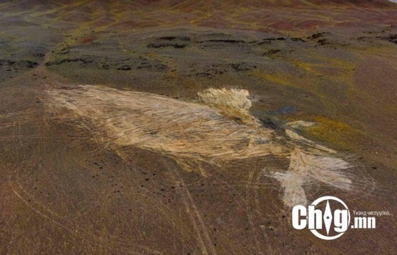 ХЯРГАС НУУРЫН ЭРЭГТ ҮҮССЭН 600 ОРЧИМ ТОНН ХОГИЙГ ЦЭВЭРЛЭЖ ДУУСГАЛАА