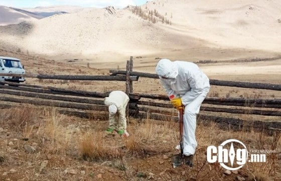ТӨВ АЙМАГТ БООМЫН ХҮНИЙ ӨВЧЛӨЛИЙН НЭГ ТОХИОЛДОЛ БҮРТГЭГДЛЭЭ
