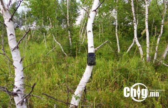 “УГТАМ УУЛ” УЛСЫН ТУСГАЙ ХАМГААЛАЛТТАЙ ГАЗАРТ АВТОМАТ КАМЕР СУУРИЛУУЛЛАА