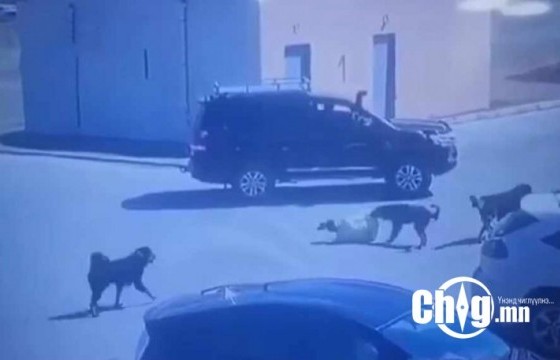 НОХОЙ НЬ ХҮН ХАЗВАЛ ИРГЭНИЙГ 5.4 САЯАР ТОРГОЖ, НИЙТЭД ТУСТАЙ АЖИЛ ХИЙЛГЭНЭ
