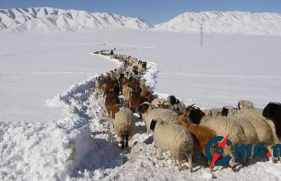 Сүхбаатар аймгийн 13 суманд шилэн зудын нөхцөл бүрдээд байна
