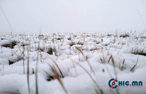 Шинийн нэгэнд говийн аймгуудын нутгийн өмнөд хэсгээр цас орж шуурна