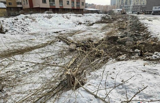  Сэлбэ голын дагуу мод тайрсан гэх асуудалд цагдаагийн байгууллагаас шалгалтын ажиллагаа явуулж эхэлжээ