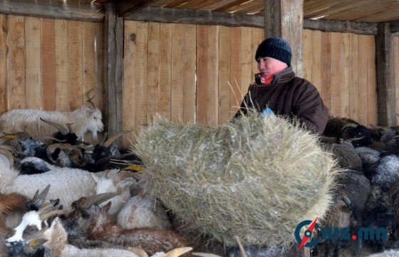 Малчдад туслах хандивын аянд 2 тэрбум 951 сая төгрөг цугларчээ