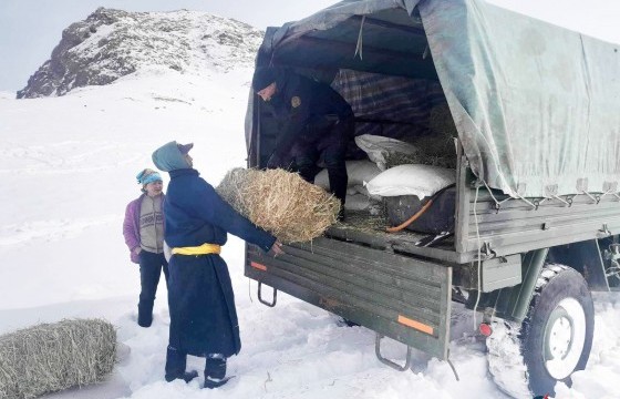 Таван аймгийн 34 суманд 111 сая төгрөгийн шатахууны дэмжлэг үзүүллээ