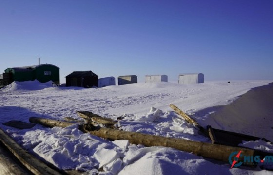Зудын улмаас 16 сая толгой мал хорогдохоор байгааг танилцууллаа