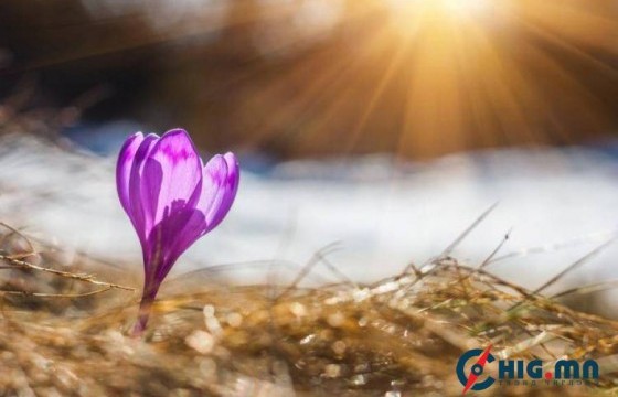 Дөрөвдүгээр сарын 4-нд ичигсэд хөдөлж, амьд бие сэргэх ханш нээх өдөр