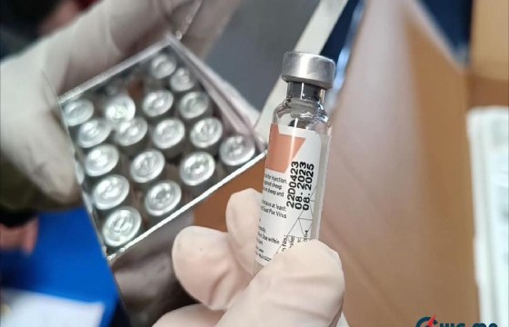 Хонины цэцэг өвчний эсрэг тусламжийн нэг сая тун вакциныг хүлээж авлаа
