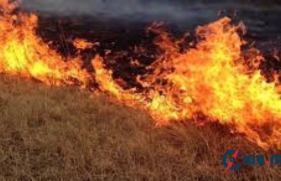 Дорнодын Матад суманд гарсан хээрийн түймэрт 11,300 га талбай шатжээ