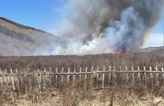 Сүхбаатар дүүрэгт 82 настай иргэн хашааны шар өвсөө шатаасны улмаас гал алдсаныг бүрэн унтраажээ