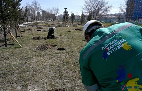 Хүүхдийн паркийн баруун жигүүрийн 10.2 га талбайг ногоон байгууламж болгон тохижуулж байна