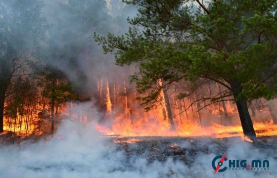 Улсын хэмжээнд 44 удаагийн ой, хээрийн гал түймэр гарч, 435.658 га талбай түймэрт өртжээ